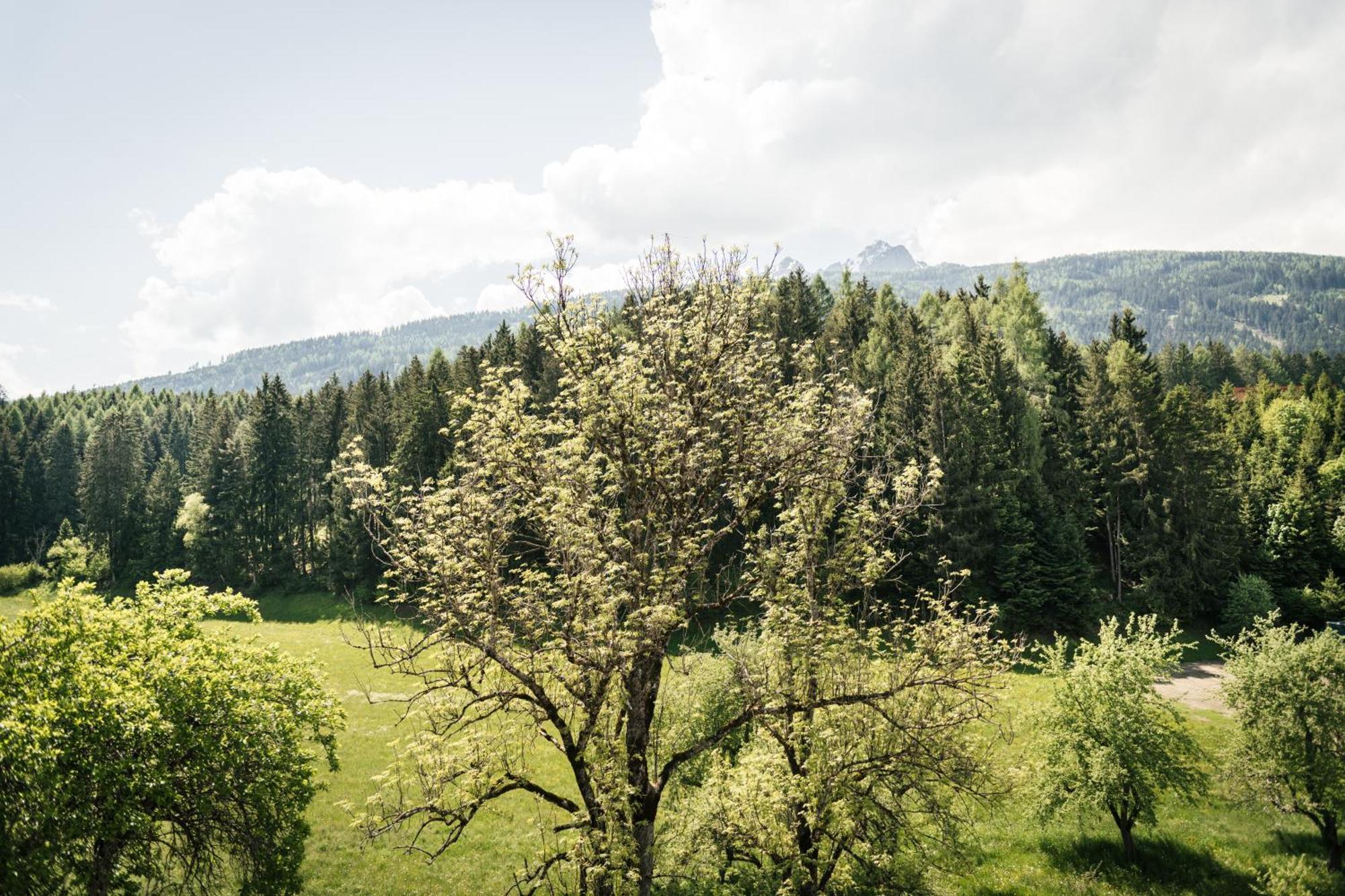 Edenhauserhof Neu Gotzens Екстер'єр фото